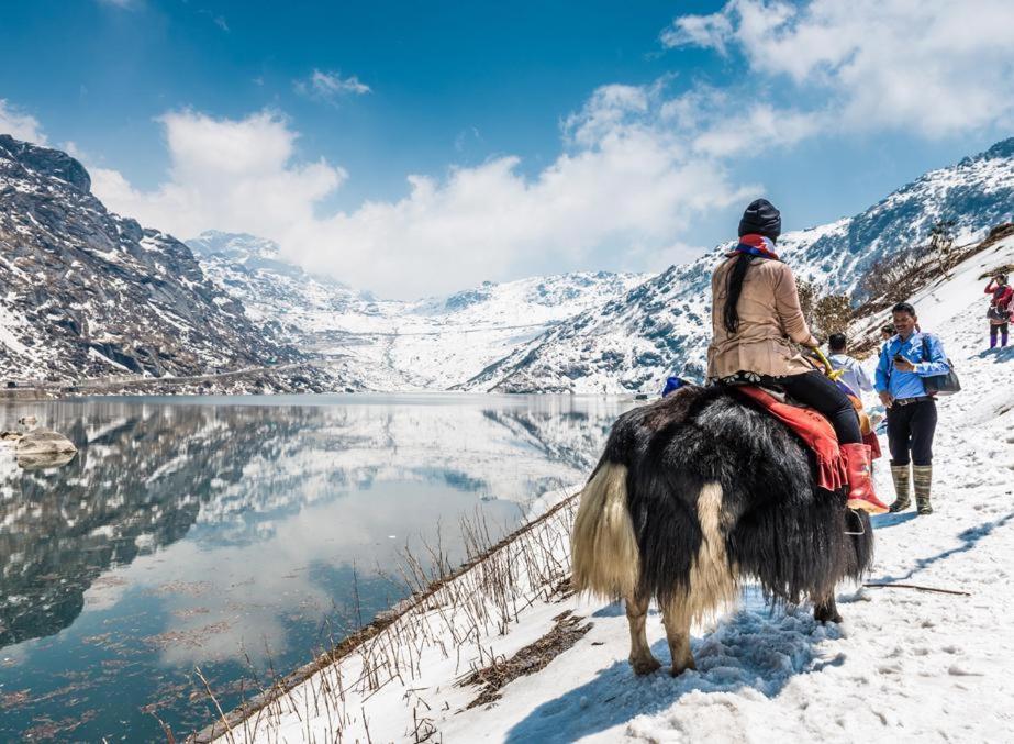 Snow White Retreat Hotel And Restaurant Gangtok Εξωτερικό φωτογραφία